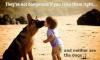 Dog and Child -  They